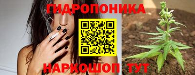 стафф Краснокаменск