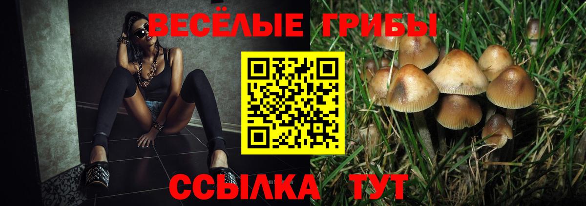 Каменск-Шахтинский  Псилоцибиновые грибы Magic Shrooms  Вход с VPN  Псилоцибиновые грибы Psilocybe 